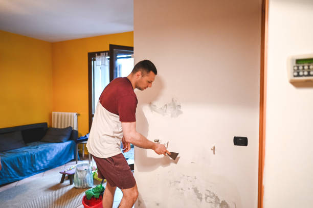 Best Commercial Mold Remediation in Brightwood, VA